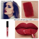 Annie rouge à  lèvre liquide matte N° 41